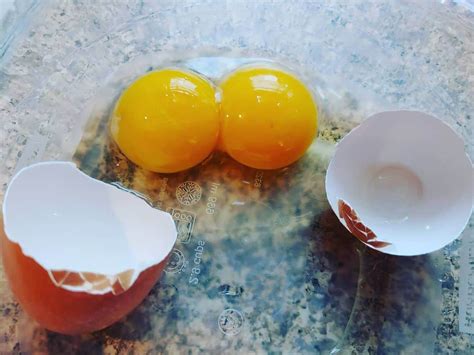 two yolks one egg|buy double yolk eggs.